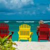 Anegada Cow Wreck Chairs